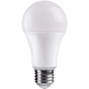 A21 LED Light Bulbs Daylight white 75 Watt Equivalent,  1100-Lumen Medium Base