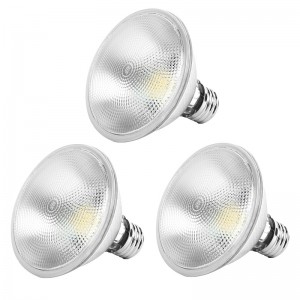 Classic Full Glass Dimmable PAR30 LED Flood Light Bulbs