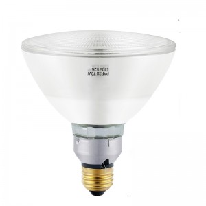 Halogen Dimmable PAR38 Flood Light Bulb